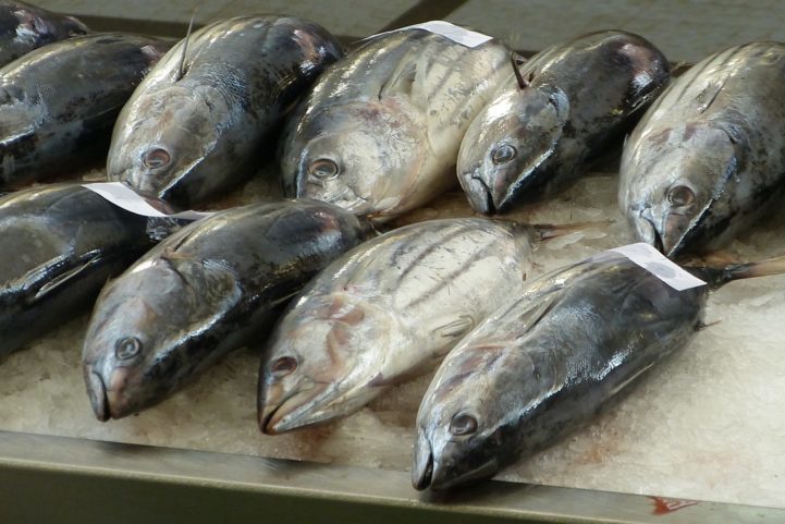 Atum - Peixe típico de regiões tropicais e subtropicais, habita todos os oceanos. É um dos peixes mais consumidos, pois, além da versão in natura, eles são vendidos em latas, com ou sem condimentos. 100 gramas de atum têm 130 calorias. 