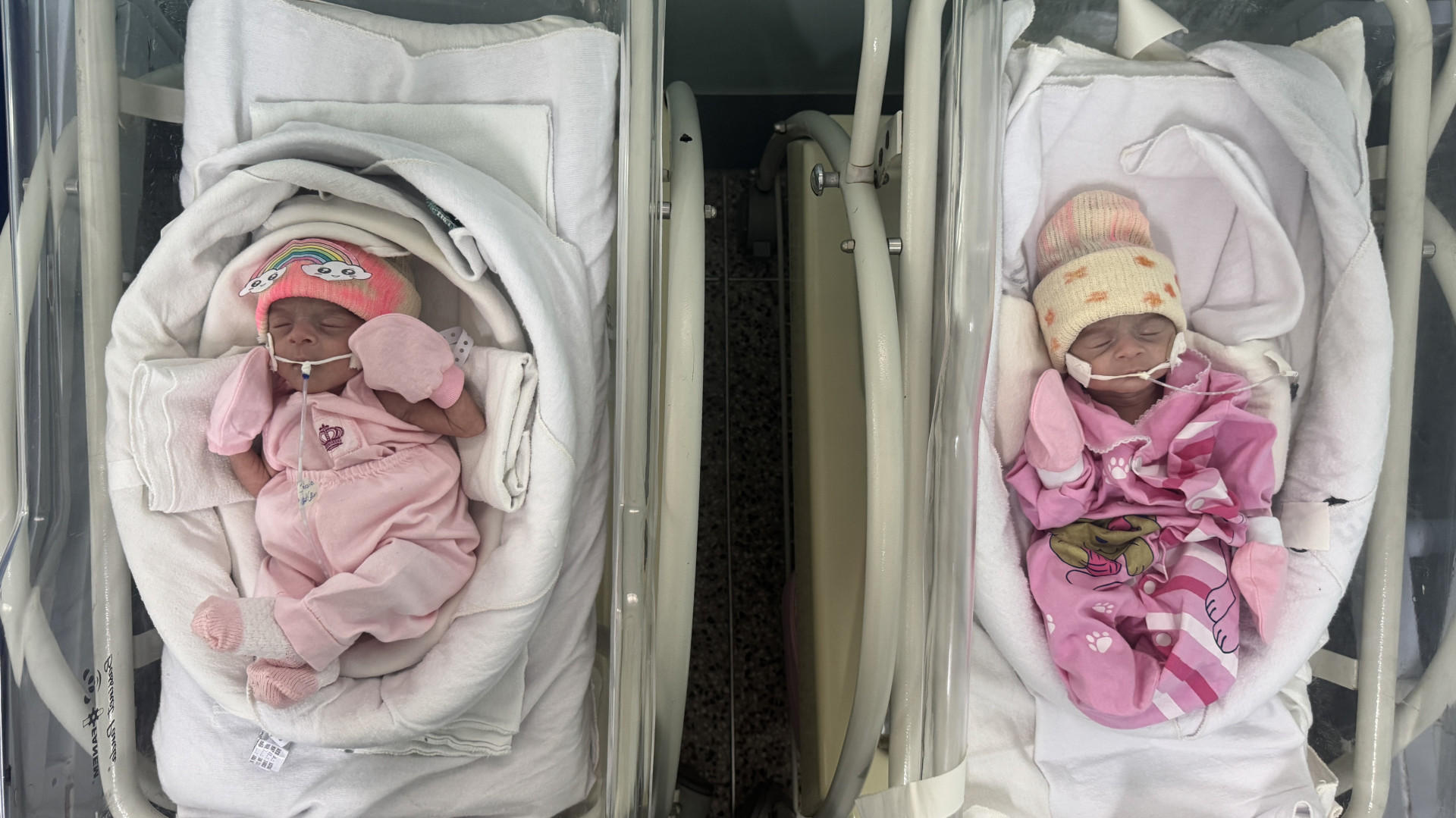 As gêmeas Maria Eloísa e Maria Eloá, nascidas há 27 dias na Santa Casa, também participaram do ensaio com as touquinhas.