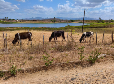 Evento para produtores rurais será nesta quinta-feira, 23 