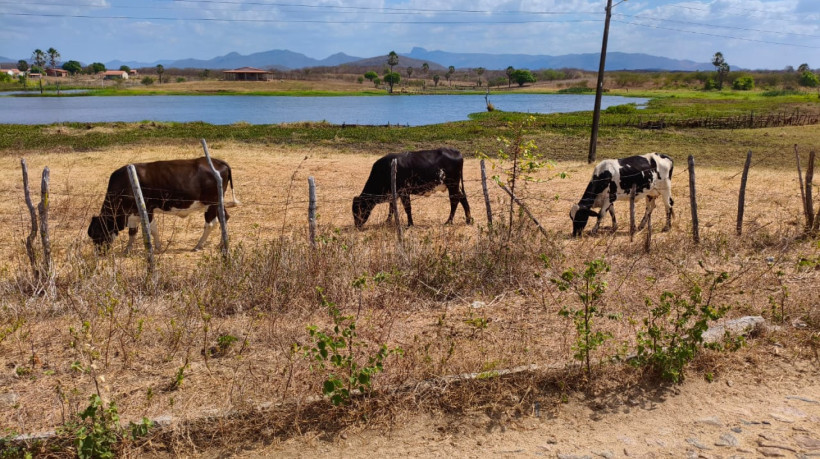 Evento para produtores rurais será nesta quinta-feira, 23