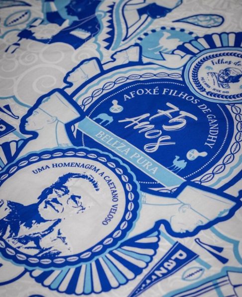 Em fevereiro de 2024, o conhecido grupo Afoxé Filhos de Gandhy fez uma homenagem ao cantor e compositor brasileiro para comemorar 75 anos de fundação. A fantasia do grupo foi com o tema Beleza Pura, em honra a um dos maiores artistas brasileiros. 