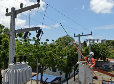 Imagem de apoio ilustrativo. Animal teria entrado em subesta&ccedil;&atilde;o e causa apag&atilde;o, que durou cerca de 12 minutos 