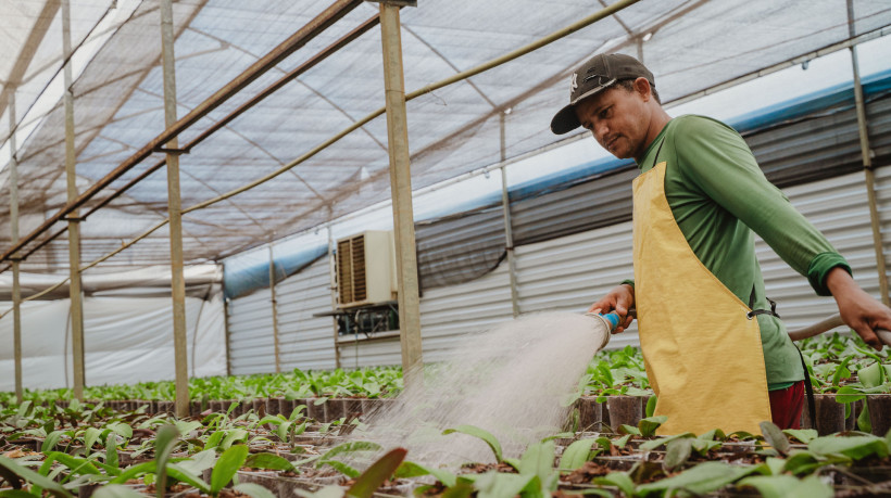 Cear&aacute; adere ao Garantia Safra 2025/2026 com R$ 140 milh&otilde;es para 195 mil agricultores