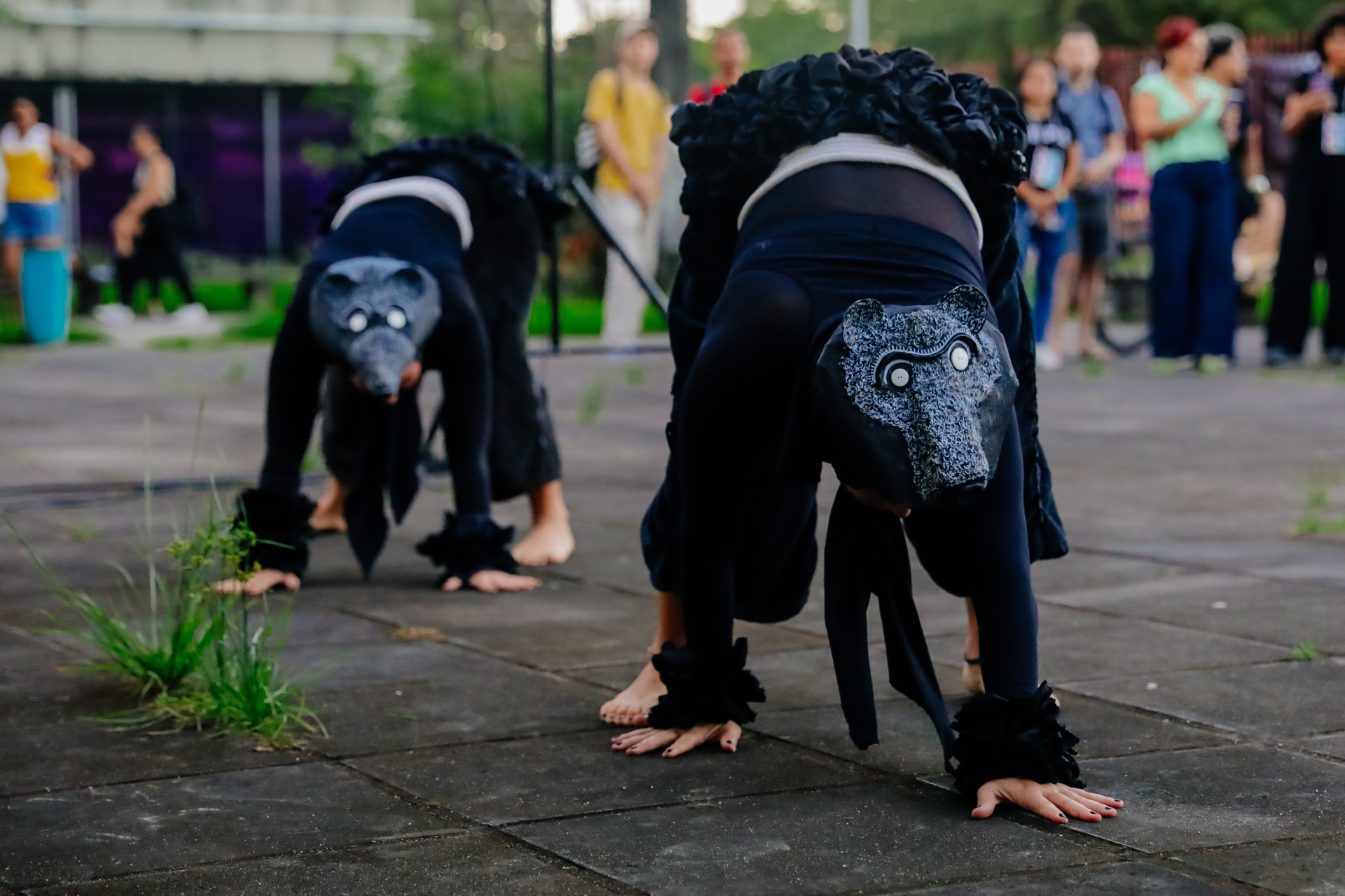 A 15ª Semana Dança Cariri reúne artistas e público em uma programação que exalta o poder transformador da arte