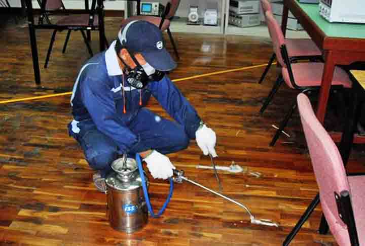 O mais indicado é acionar uma empresa especializada em controle de pragas, capaz de localizar o foco, aplicar o tratamento adequado e, se necessário, fazer barreiras químicas para evitar novas ocorrências.
