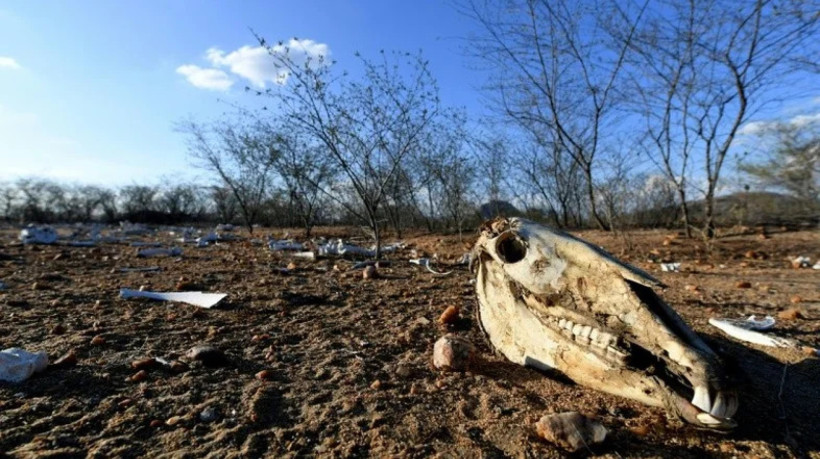 Lendas são forma oral de transmitir cultura e saberes ancestrais. Conheça histórias e criaturas da região nordeste