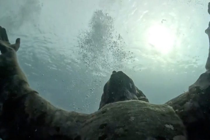 A estátua foi construída com metais de navios, canhões e troféus, e passou a ser um ícone religioso e turístico, recebendo mergulhadores de várias partes do mundo.