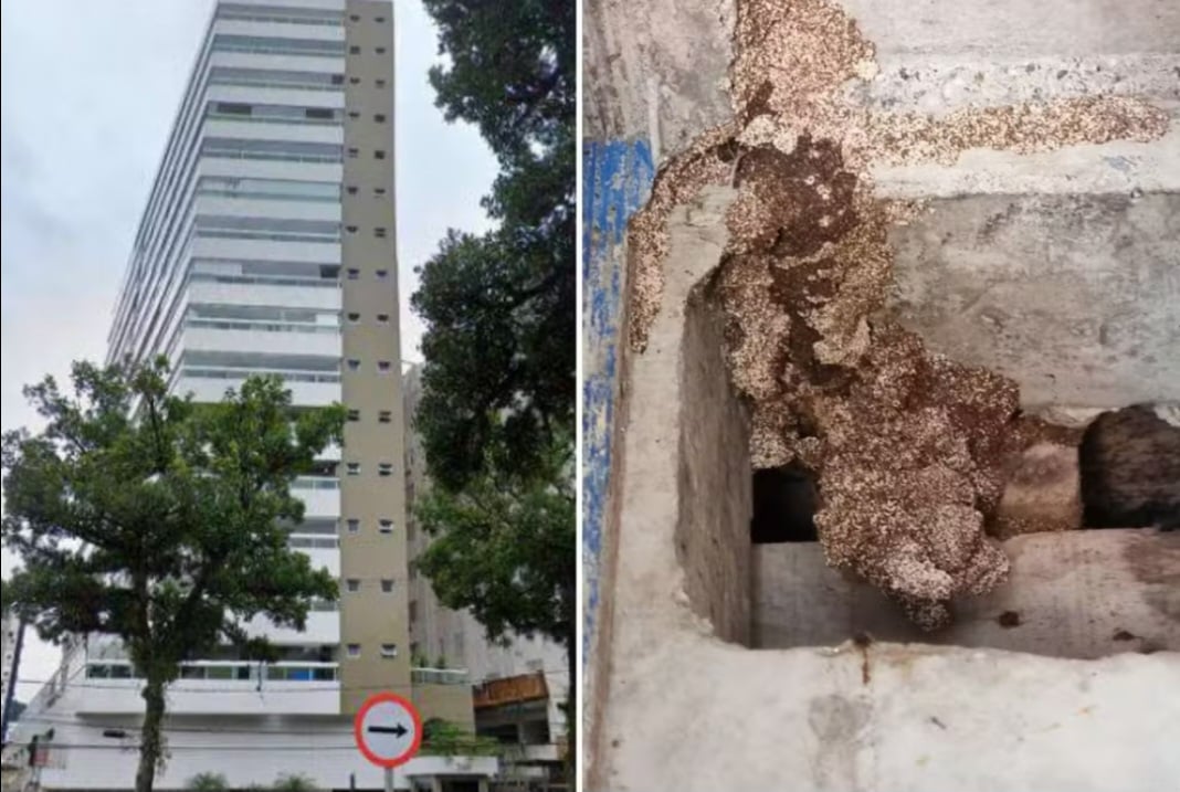 Uma construtora de Santos, no litoral paulista, foi condenada pela Justiça a pagar R$ 10 mil a cada uma das 15 famílias de um condomínio no bairro Campo Grande que foi infestado por cupins. 
