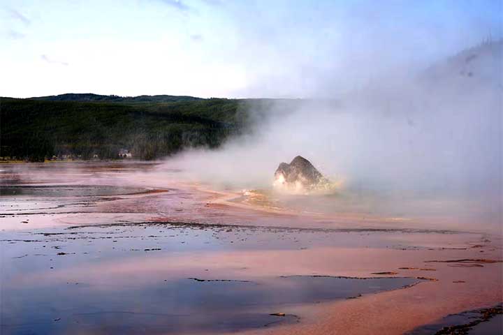 As autoridades locais decidiram não remover a carcaça devido aos riscos para funcionários e para os microrganismos que vivem no local.