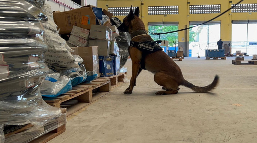 Encomenda continha 4,5 kg de MDMA. Apreensão foi feita em uma transportadora em Fortaleza