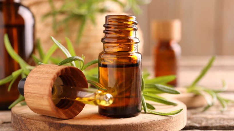 Saiba como o óleo essencial de alecrim pode ajudar no crescimento do cabelo