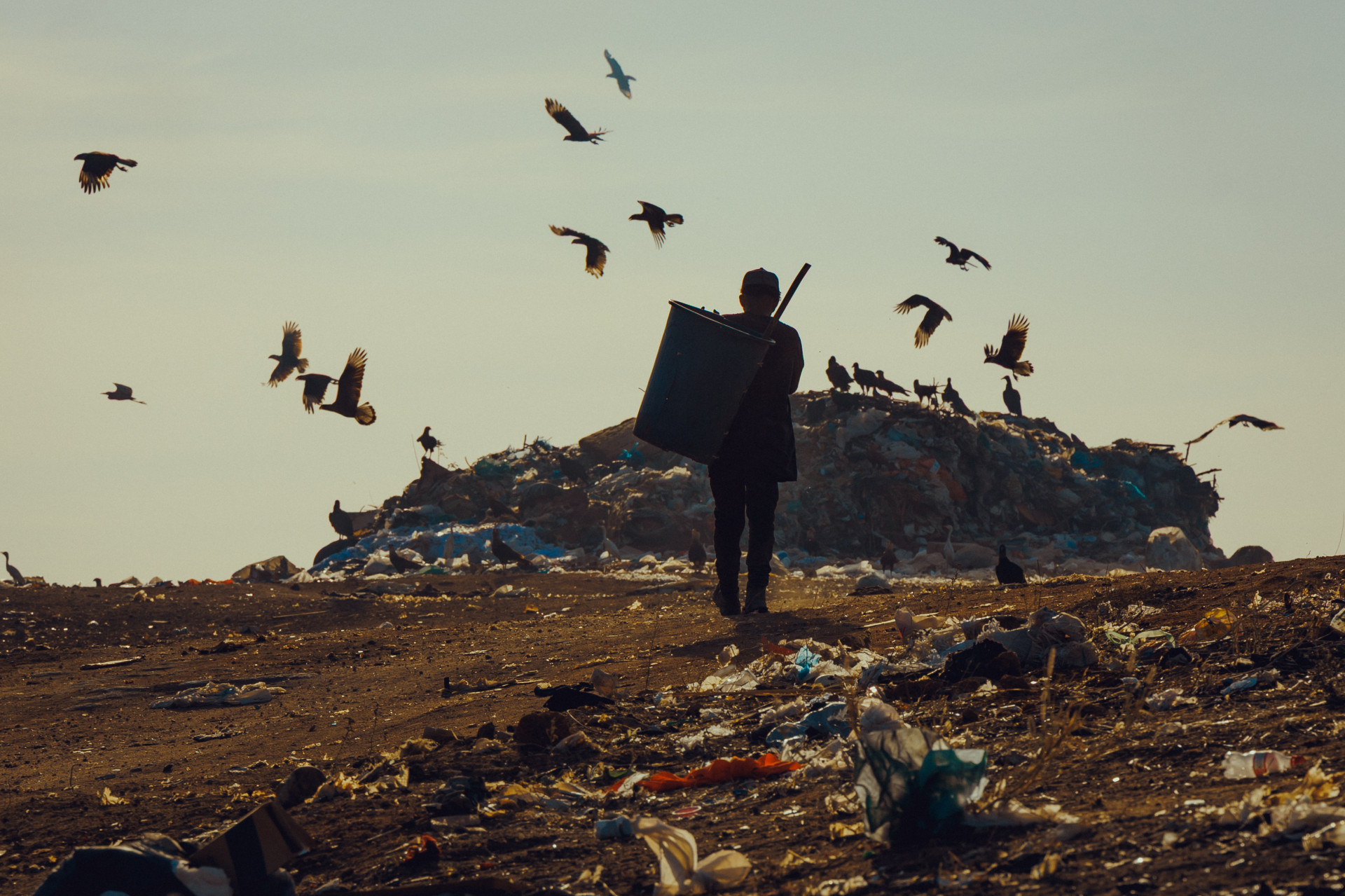 Catadores de material reciclável em lixão de Canindé. Fumaça expelida das queimadas pode causar riscos a saúde