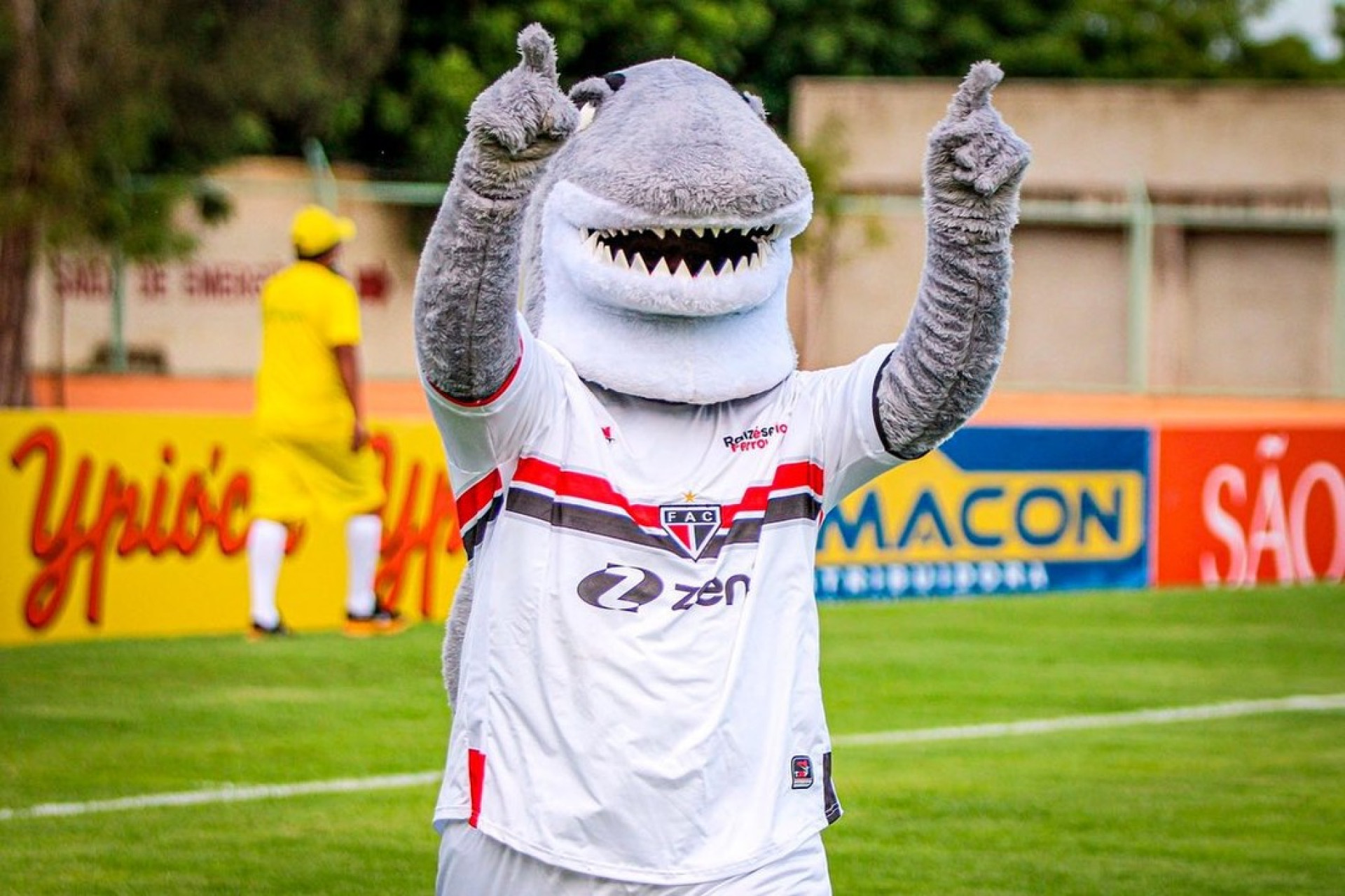 Projeto propondo homenagem ao clube começou a tramitar nesta quinta-feira (Foto: Lenilson Santos/Ferroviário)