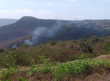 Diante da demora das autoridades, a população local tomou a iniciativa de combater o fogo por conta própria. 