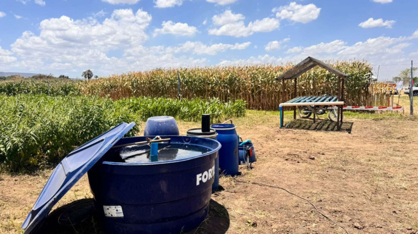 Método se aproveita da água do tanque onde os peixes são criados, que é rica em nutrientes, para cultivar alimentos naturais