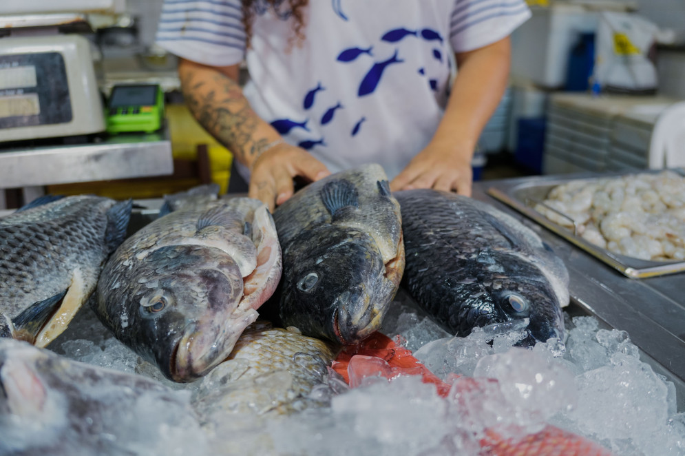Ceará já foi o segundo maior produtor de tilápia do Brasil, mas seca a partir de 2015 prejudicou atividade