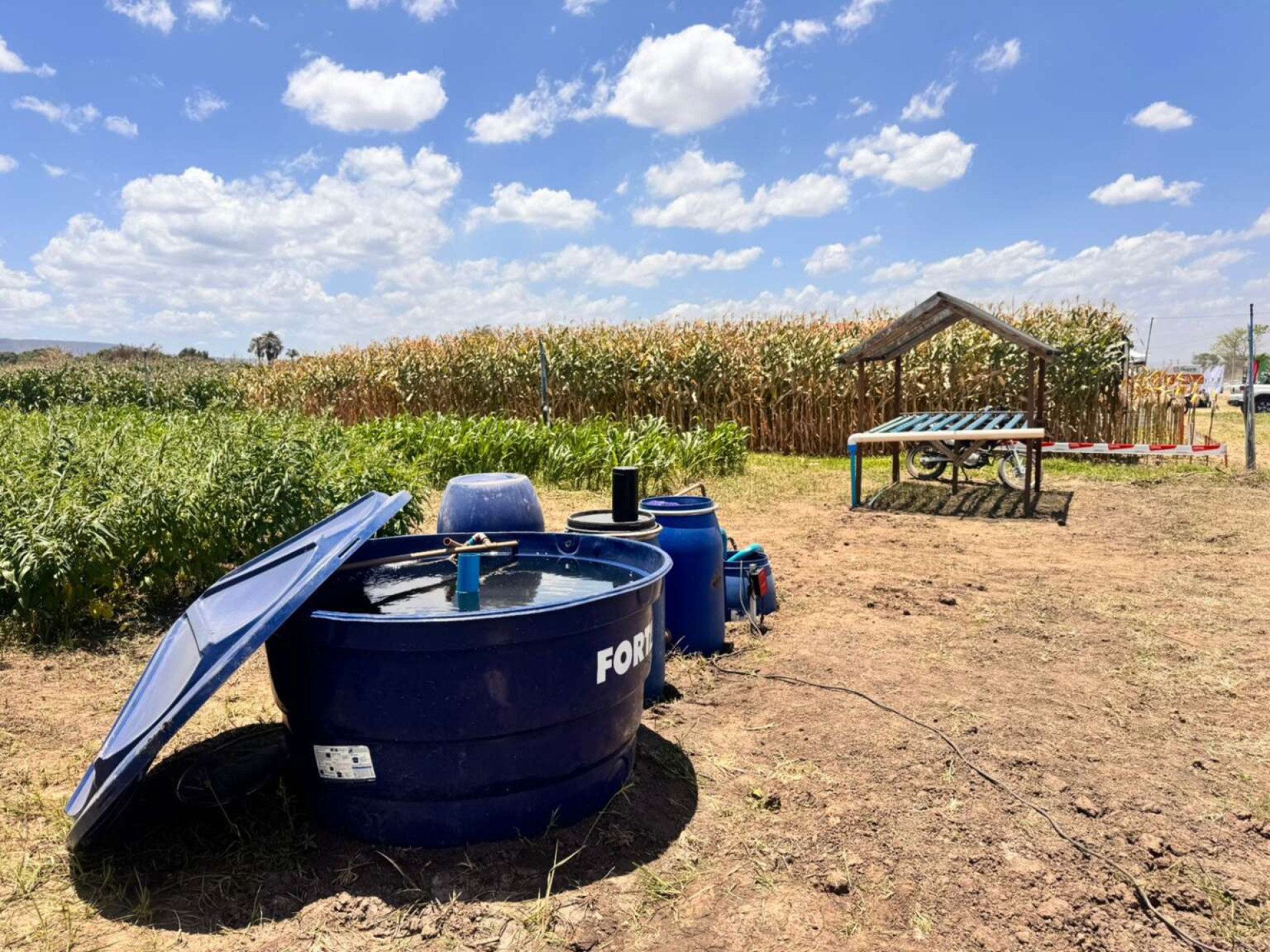 ￼MÉTODO usa água do tanque onde os peixes são criados para cultivar alimentos naturais (Foto: Ascom Centec/Divulgação)