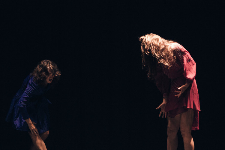 For&ccedil;a Estranha, cria&ccedil;&atilde;o de Clarice Lima em colabora&ccedil;&atilde;o com Aline Bonamin, esteve em Fortaleza na quarta-feira, 29 de outubro, no Teatro Drag&atilde;o do Mar, no &acirc;mbito da XV Bienal Internacional de Dan&ccedil;a do Cear