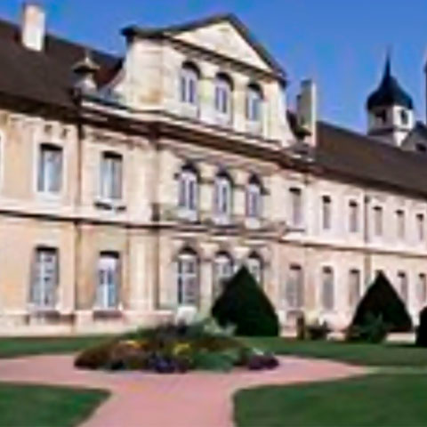 Em 2 de novembro de 998, ele instituiu que, todos os anos, os monges dedicassem orações às almas dos fiéis falecidos, prática que se difundiu pela Igreja e originou o Dia de Finados.