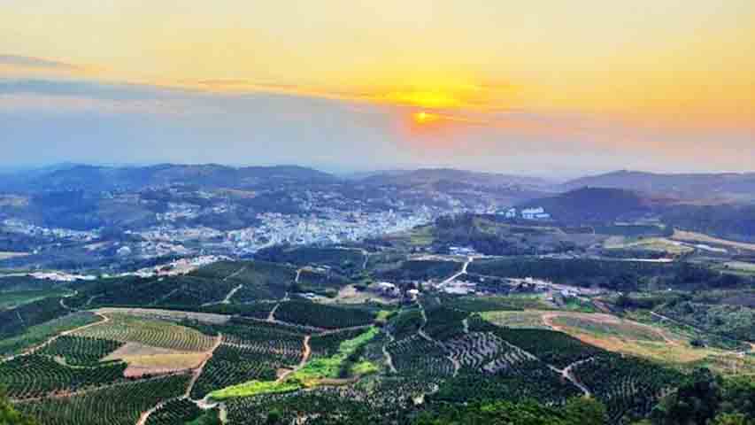 A chegada de italianos teve início em 1887 e até os dias atuais Serra Negra tem em seu calendário festas e tradições associadas à cultura italiana.

