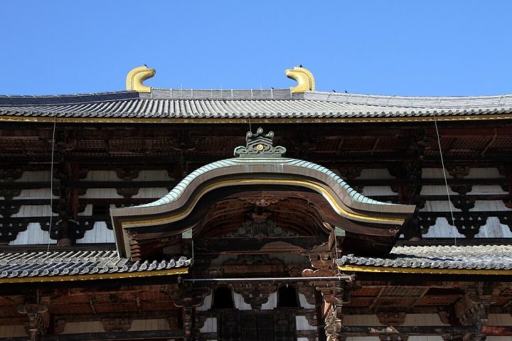 Naquela época, o templo Todai-ji passava por reformas, o que leva a crer que a marta tenha entrado no local, ficado presa e, com o tempo, mumificada naturalmente.