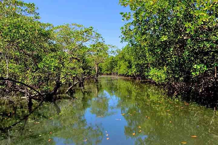 O nome “Tremembé” tem origem tupi-guarani, significando “alagadiço” ou “brejo”, em referência à presença de cursos d’água em sua área.
