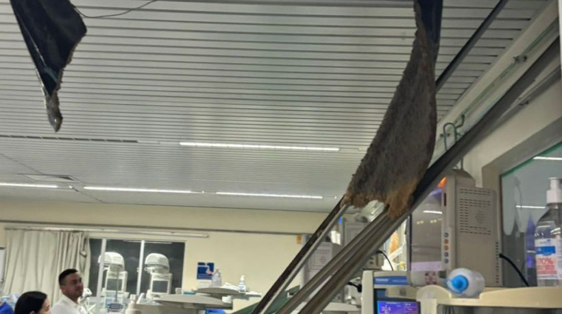 No momento do incidente, equipes realizavam atendimentos, mas, segundo a Empresa Brasileira de Serviços Hospitalares (Ebserh), não houve feridos nem prejuízo assistencial.