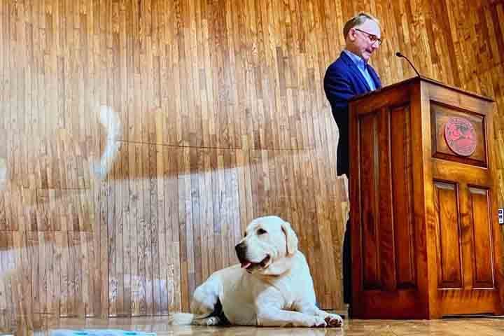 Com mais de 800 páginas, o livro é apresentado por Brown como “o mais ambicioso e intrincado” de sua carreira. O título encerra a trajetória de Robert Langdon, professor de simbologia que protagonizou os maiores sucessos do autor. 

