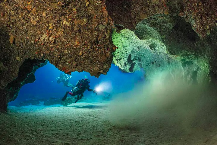 O problema é que apenas alguns desses anéis estão dentro de uma área protegida. Os outros ficam em regiões onde navios e barcos passam frequentemente.