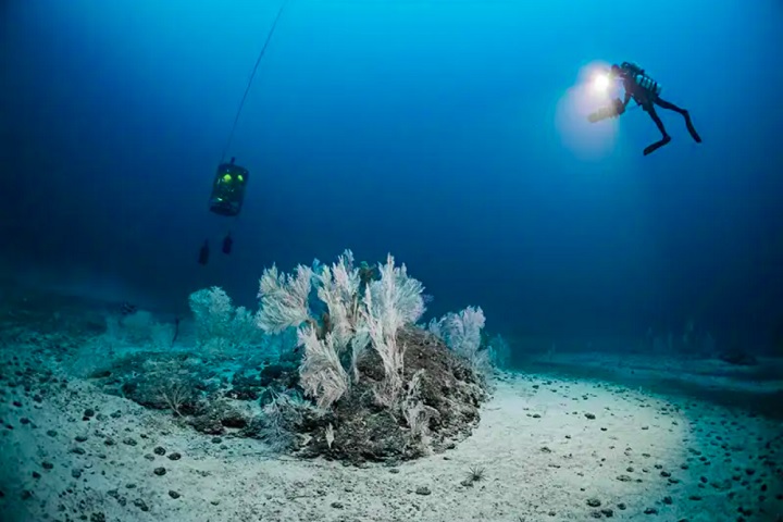 Apesar da preservação garantida por sua localização remota e profundidade, os anéis estão agora sob ameaça devido às navegações comerciais.