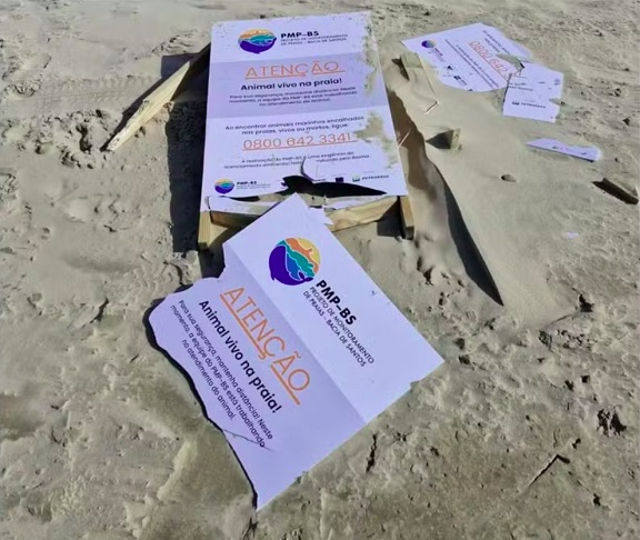 Dias depois do avistamento da foca, o local, que havia sido isolado pelo PMP-BS, foi encontrado com marcas de vandalismo. 