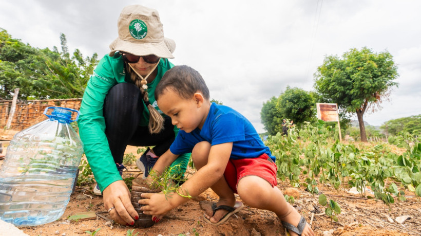 Ceará na COP 30: conheça as instituições que representam o Estado na conferência