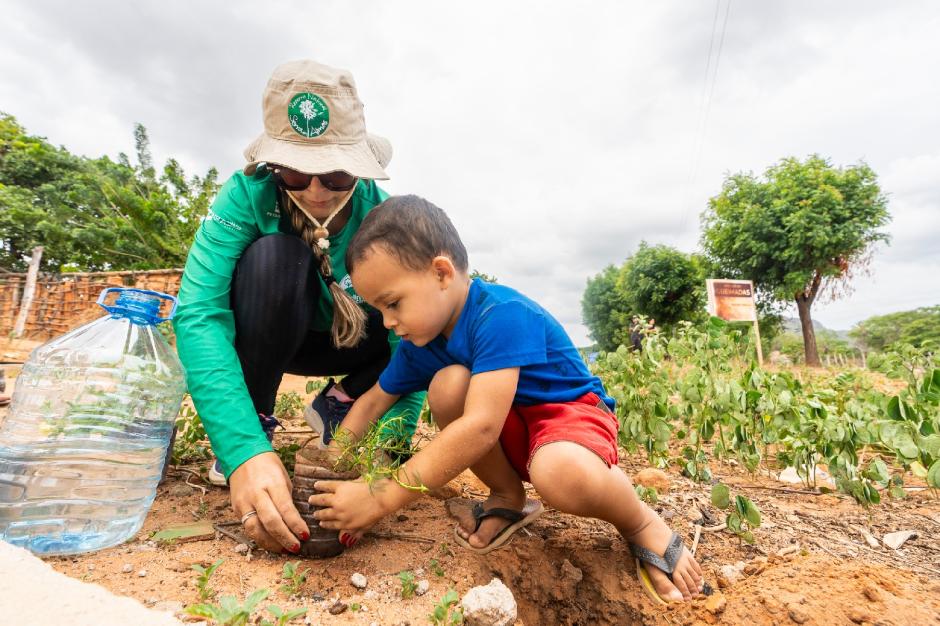 Ceará na COP 30: conheça as instituições que representam o Estado na conferência (Foto: Divulgação | Associação Caatinga)