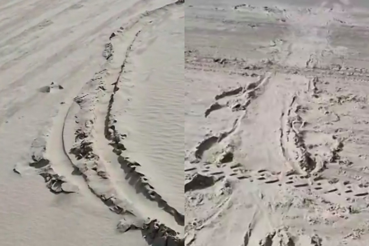 Placas informativas foram destruídas, os ferros de delimitação furtados e marcas de pneus foram encontradas no local onde a foca descansava, indicando manobras de veículos próximas ao animal.