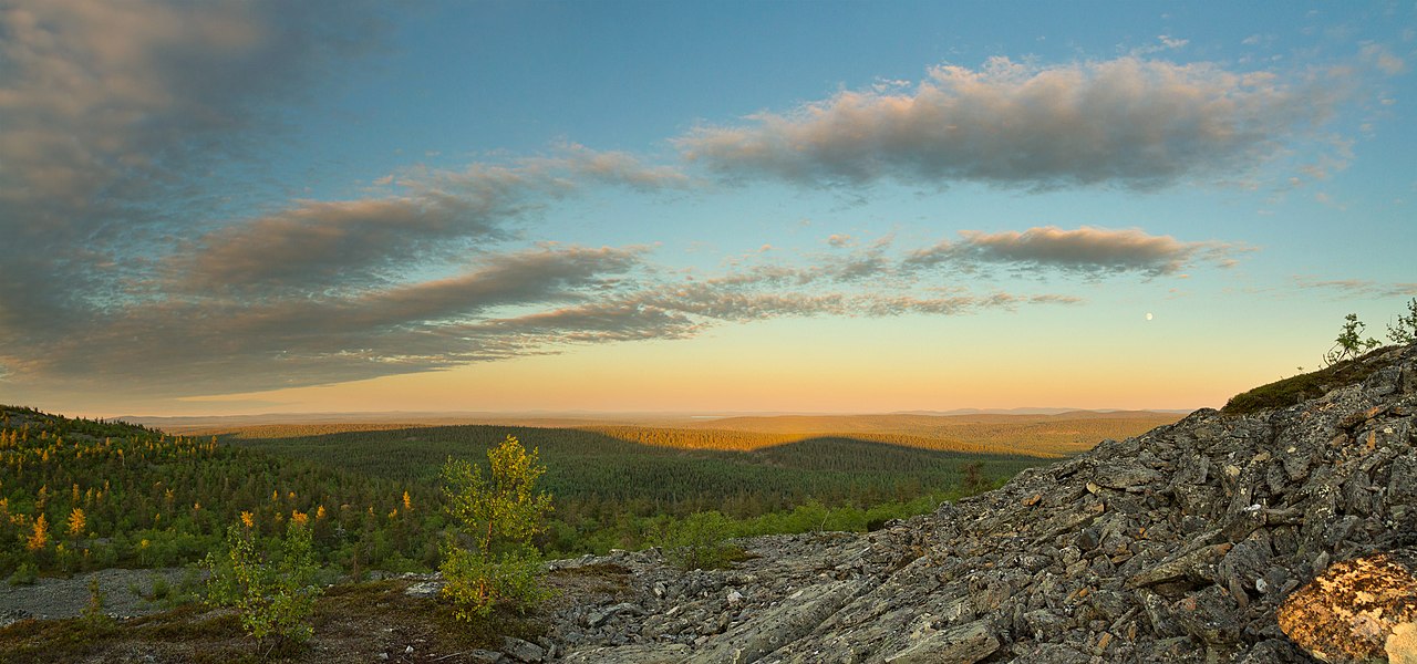 Diante da data, que é mais pensativa do que para comemoração, o Flipar lista as 10 maiores florestas do planeta.