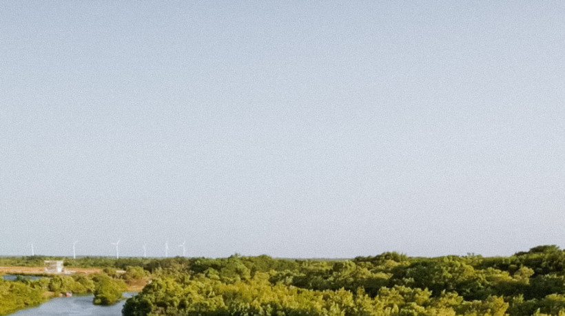 Dia 18 de novembro é feriado em algumas de cidades ao redor do Brasil, conforme calendário de folgas divulgado pela Febraban, saiba quais