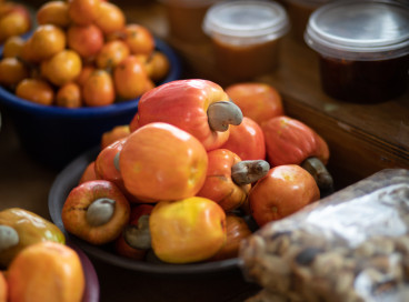 Ceará é líder nacional na produção do fruto 