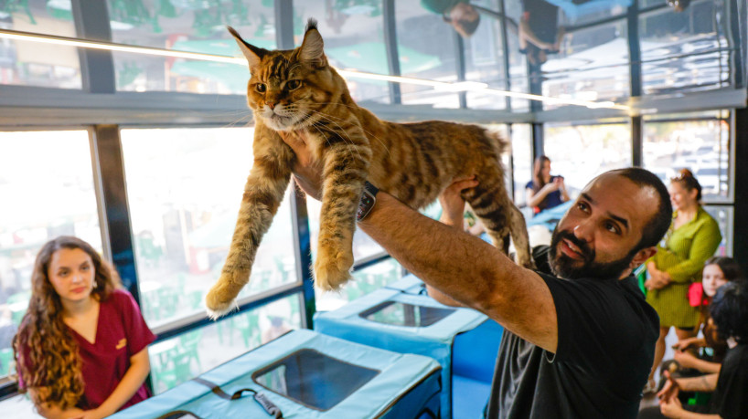 Cães e gatos também marcaram espaço na Expoece de 2025