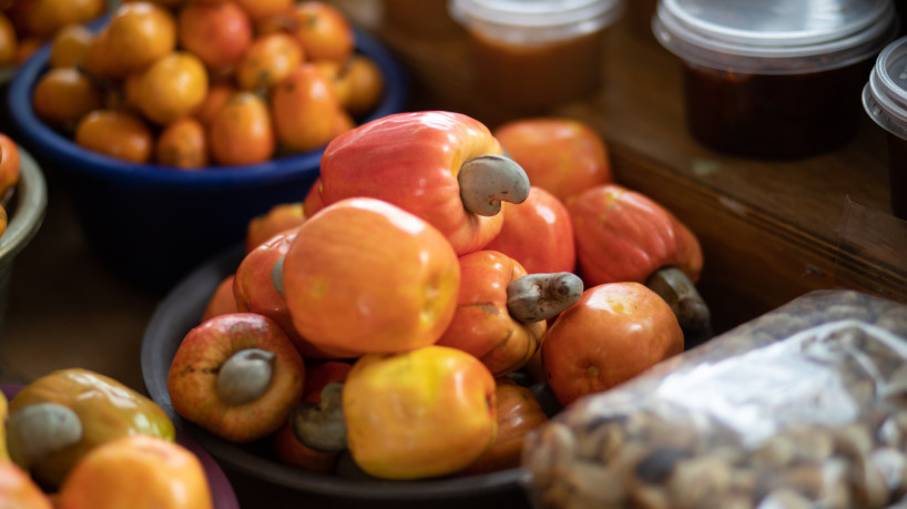 Cajucultura: o cultivo do fruto que virou cultura ...