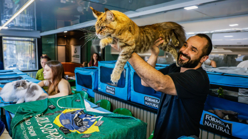 Exposição de gatos na Expoece 2025. Na foto, Hydra, da raça Maine Coon, e seu tutor, Bruno Machado