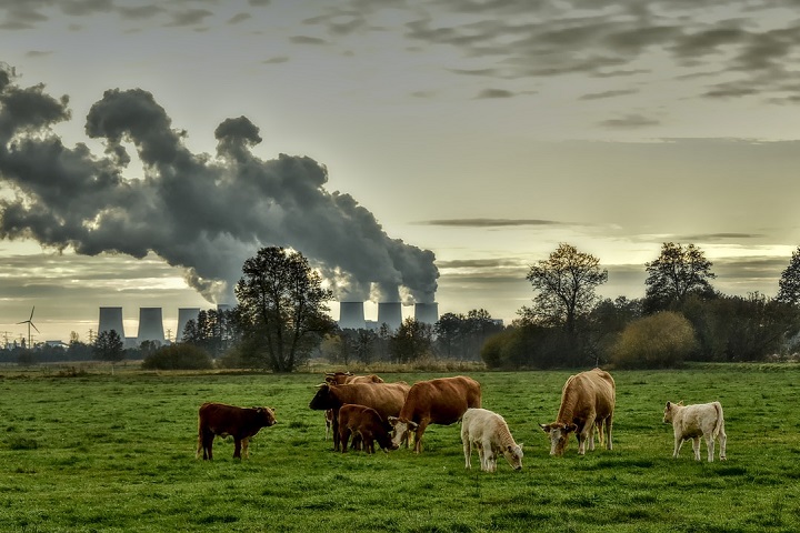 Entre as pautas centrais da COP30 estão a redução das emissões de gases de efeito estufa, adaptação às mudanças climáticas e preservação de florestas e biodiversidade.