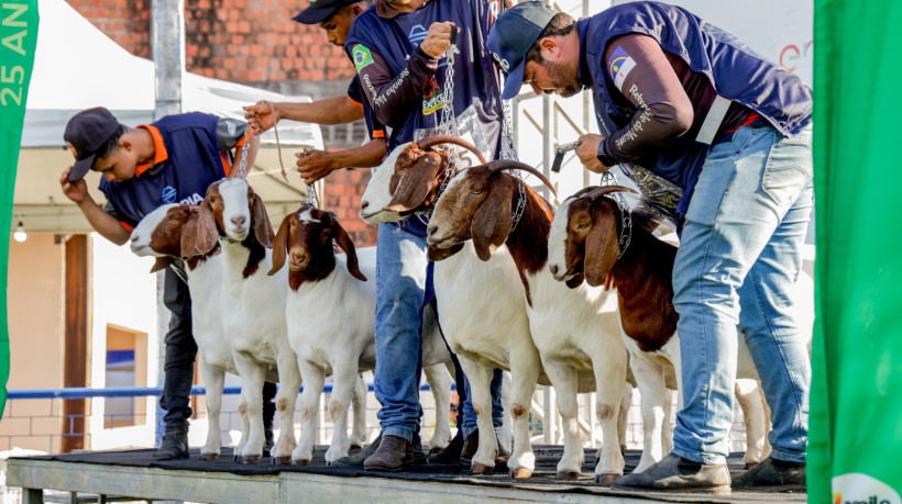 O evento contou com entrega de equipamentos a municípios e associações do semiárido cearense (Fco Fontenele/O POVO)