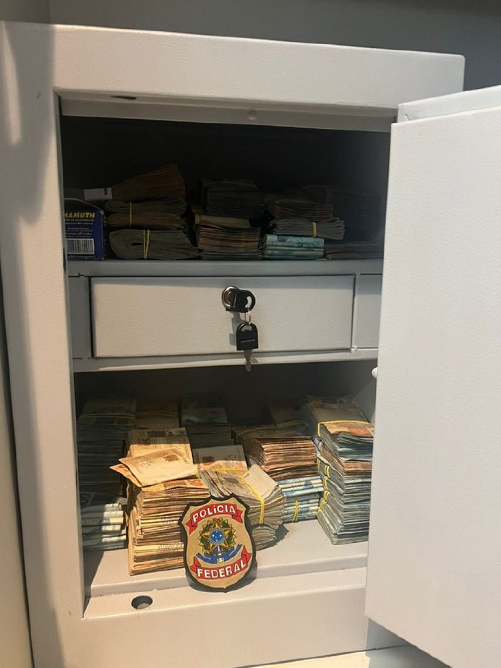 Corporação cumpriu mandatos em diversos municípios do Brasil (Foto: Divulgação/PF)