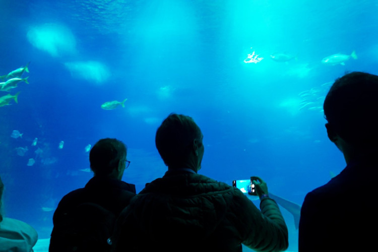  Além das sessões teóricas, os participantes realizaram visitas de campo à A4F (Algae for Future), que utiliza biotecnologia de microalgas, e à Fundação Oceano Azul, dedicada à conservação marinha.
