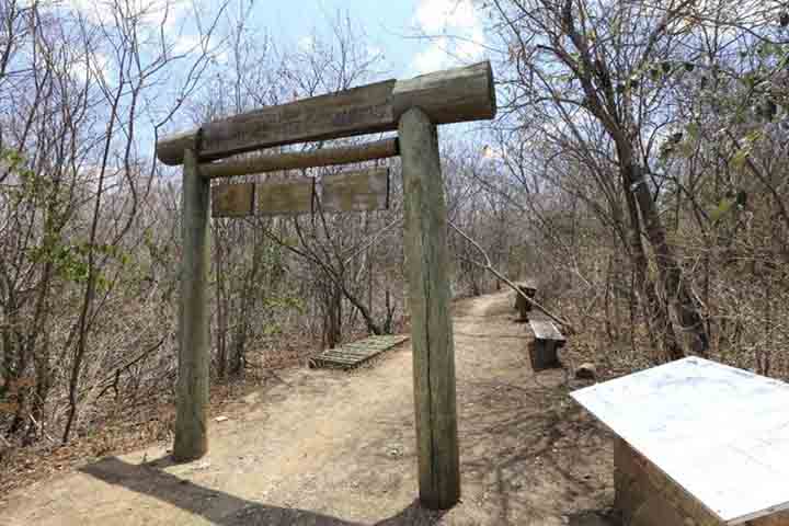 Essa região contém a principal jazida de fósseis cretáceos do Brasil. Isso inclui a maior concentração de vestígios de pterossauros do mundo, além de 20 ordens diferentes de insetos fossilizados, com idade aproximada 110 milhões de anos.