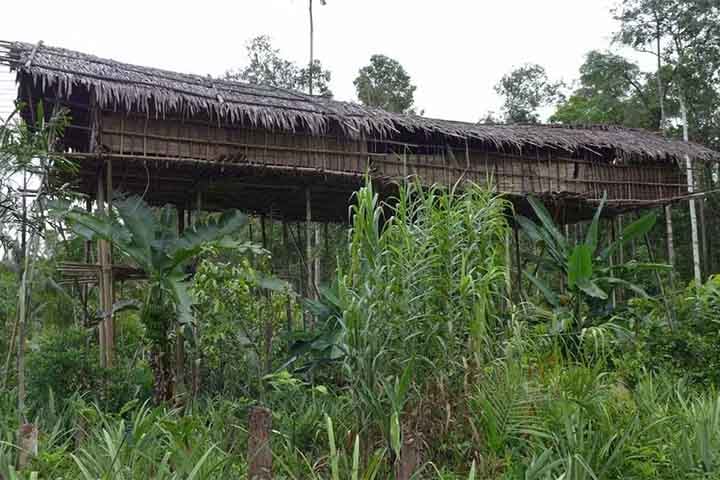 Antigamente, as casas no alto de árvores também serviam de defesa contra tribos rivais que pudessem tentar atacar de alguma forma. 
