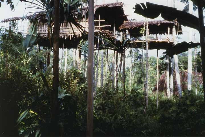 Um aspecto interessante é que a altura tem significado e pode indicar prestígio, embora nem todas sejam usadas de fato como moradia. 