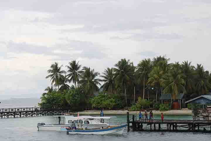 A província de Papua, onde vivem os Korowai, fica situada na porção ocidental da ilha da Nova Guiné, fazendo parte da Indonésia. Sua capital é Jayapura. 