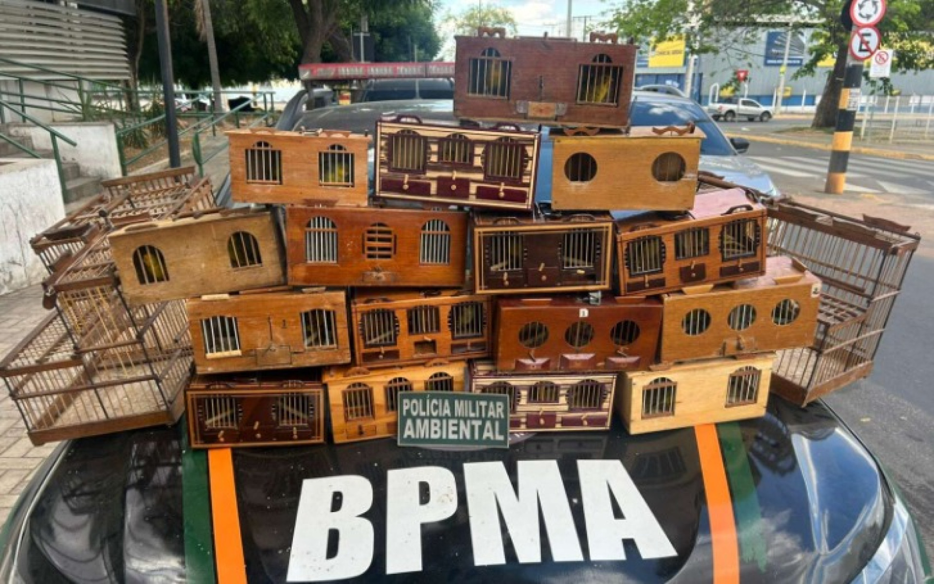 Os policiais apreenderam 16 caixas de transporte e duas gaiolas usadas especificamente na prática de rinha (Foto: Reprodução/ PMCE)