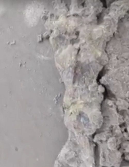 Um casal caminhava tranquilamente pela areia da praia quando tropeçou em um esqueleto que parecia de uma  mão bem grande. 